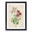 Cranesbill Flowers by Pierre-Joseph Redoute - Picture Frame Painting Print-55490385-55490383