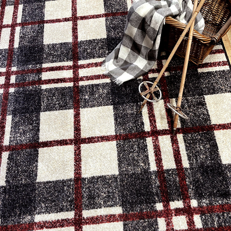 Indoor Rug, Rectangle 2'8" x 3'11"