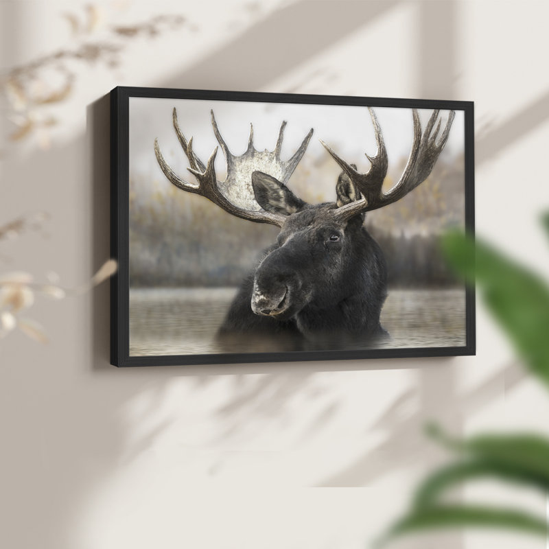 Moose Spa - reproduction encadrée - réarmable, H 22 po x l 28 po, Noir, noir, noir, noir