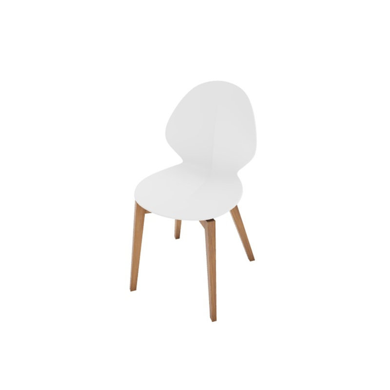 Basil Ergonomic Chair, Matte Optic White, Canaletto Walnut