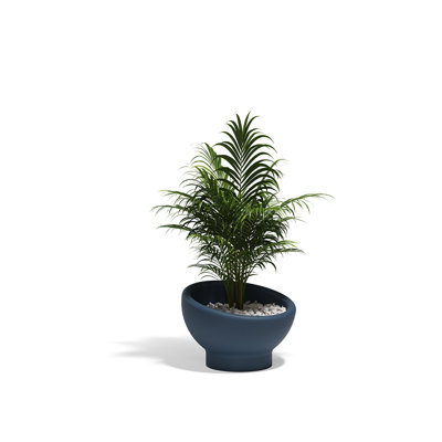 Luna Planter