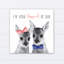 Fauve love Mcconkey-555807761