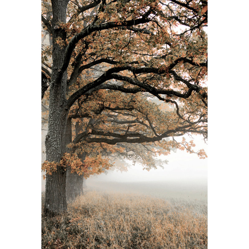 Wrapped Canvas Print, 76.2 cm H x 50.8 cm W