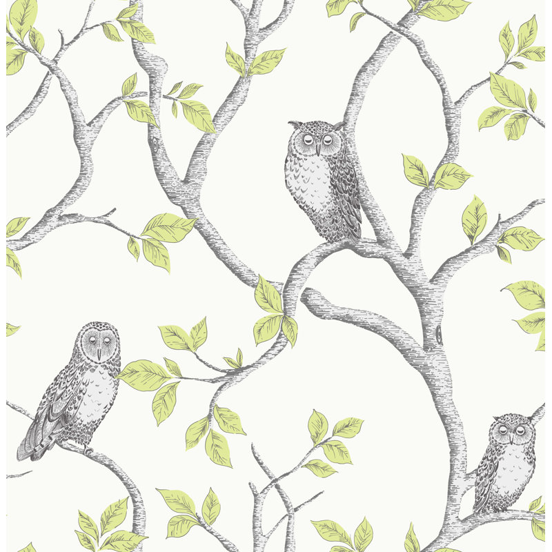 Woodland Owls Green Wallpaper