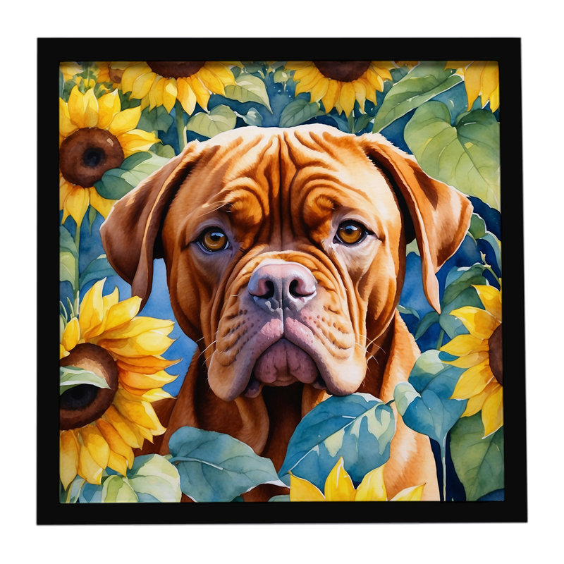 Dogue de Bordeaux avec tournesols, reproduction d'art encadrée