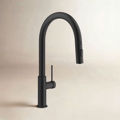 Kraus Oletto High-Arc Kitchen Faucet