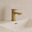 Robinet de salle de bain à un trou avec drain, robinet de salle de bain à poignée simple-115615241