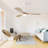 Laelah 52'' Ceiling Fan with LED Lights-1932931397-1932931396