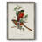 ElegantTrogonsI Framed Print - Solid Wood-181801035