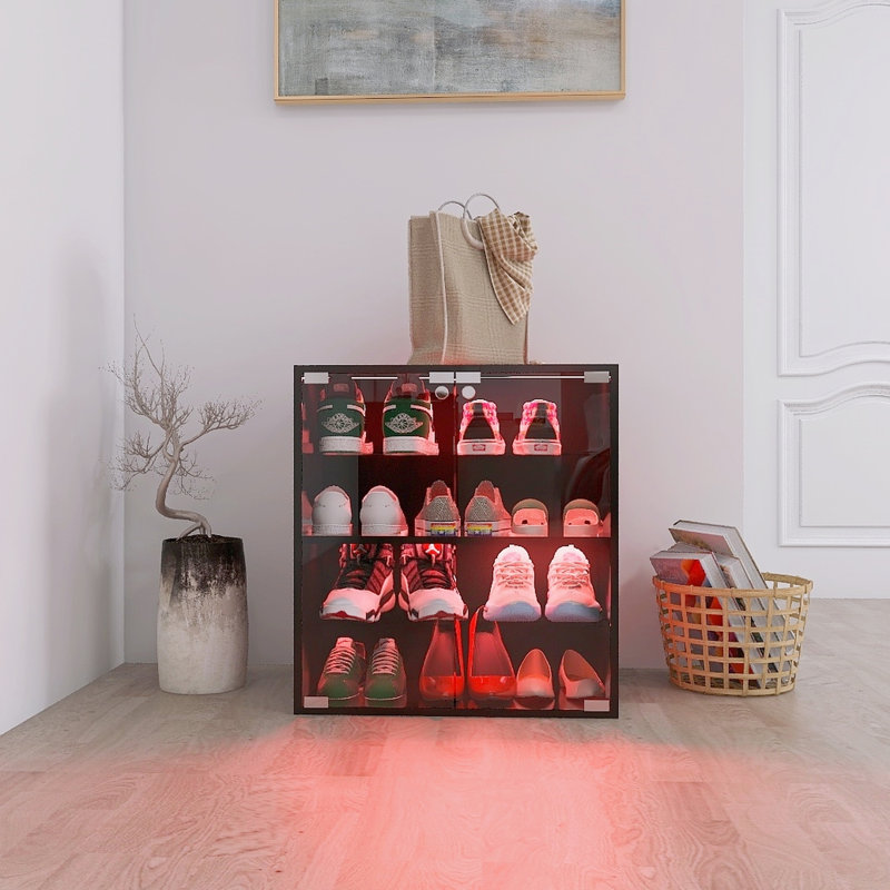 Armoire à chaussures noire avec 4 couches, porte en verre, DEL, contrôle et espace de vie moderne à 4 couches et espace principal