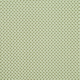 Garden of the Gods Fabric