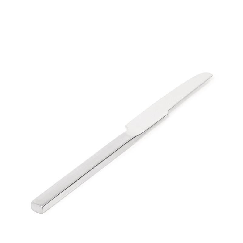 Dry Stainless Steel Dinner Knife