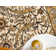 Tapis ivoire Britannia