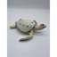 Tortue Penn-186037844