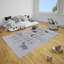 Alvaro Flatweave Grey Rug-1482317898