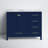 Irene 42'' Single Bathroom Vanity with Engineered Marble Top-1427899261