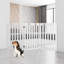 Lysette Wood Free Standing Pet Gate