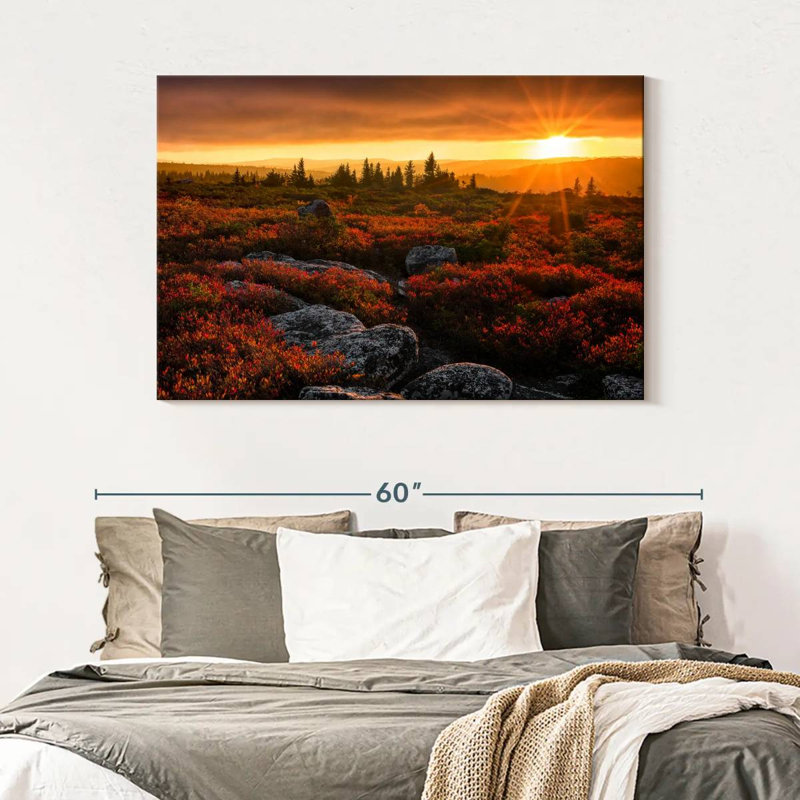 Alvord Dolly Sods Sunset, H 32 po x l 48 po