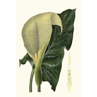 Grand Foliage III - Wrapped Canvas Painting