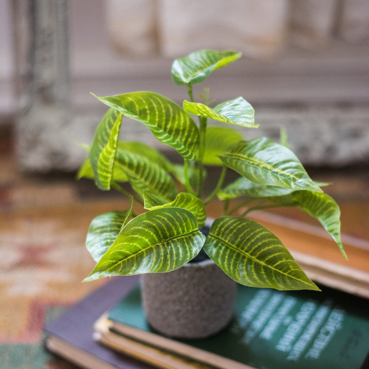 Plante bonsai artificielle en pot de fleurs