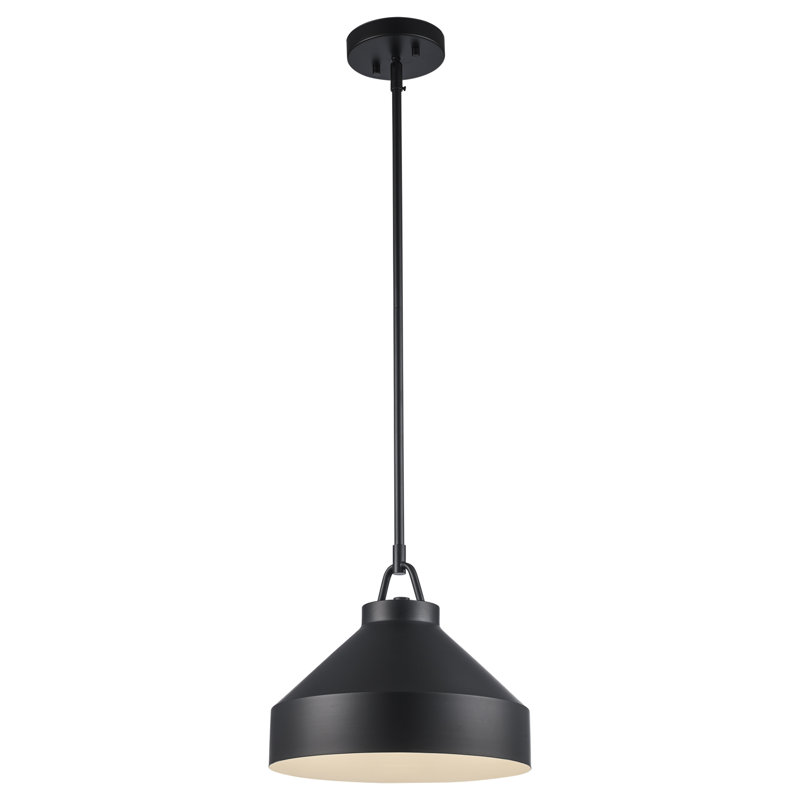 Luminaire suspendu en forme de dôme à 1 lumière Lowen, Noir, H 49,25 po x l 12 po x P 12 po