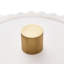 Whittaker Resin Decorative Box