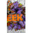 Whimsical Halloween Eek Wreath