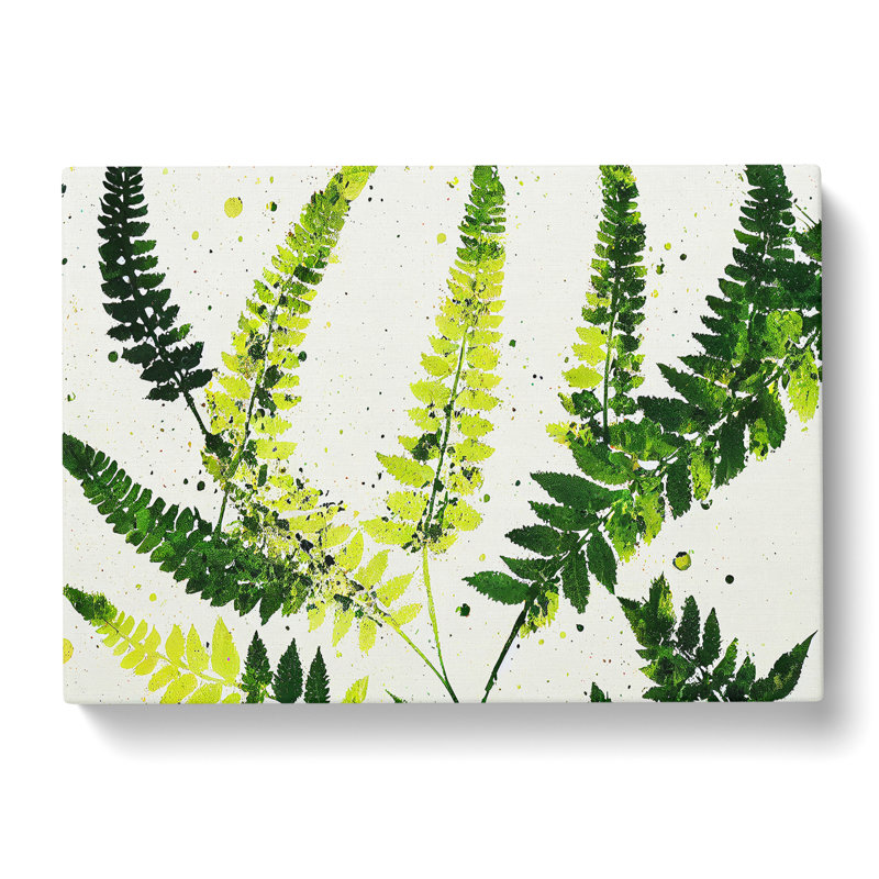 Fern Leaf Splash Vol.4 - Wrapped Canvas, 35cm H x 50cm W x 3cm D