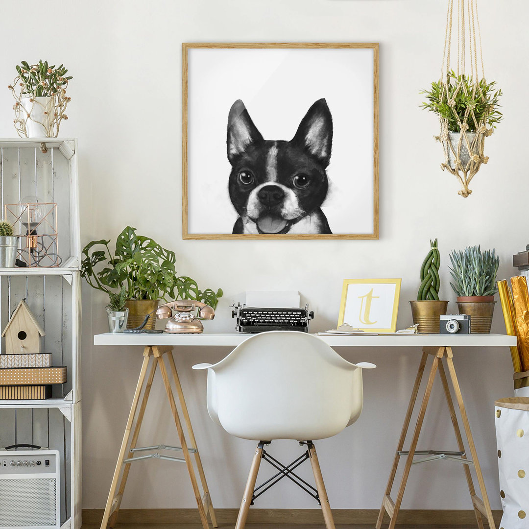 Gerahmter Grafikdruck Illustration Dog Boston Black White