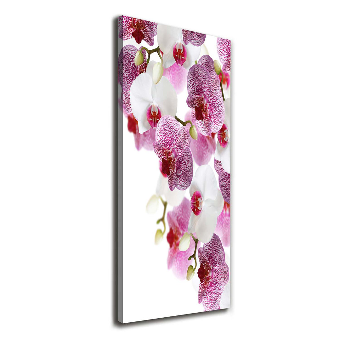 Orchidee - Kunstdrucke auf Leinwand - Wrapped Canvas