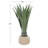 37'' Faux Agave Plant in Pot