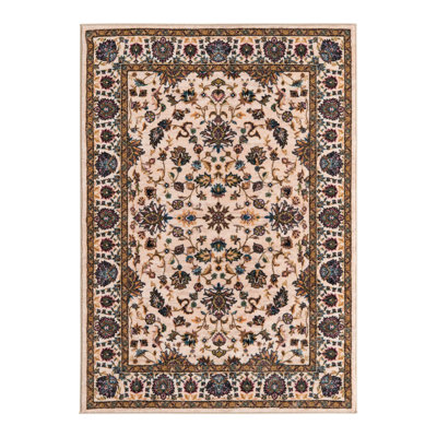 Oriental Indoor Rug