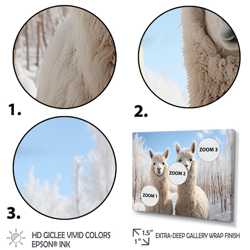 Alpagas Graceful Alpacas III - impression, H 16 po x l 32 po x P 1 po, Cadre flottant doré