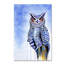 «Great Horned Owl in Blue», impression sur toile tendue-33556853