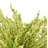 Ferdinand Heather Arrangement in Pot-28784519