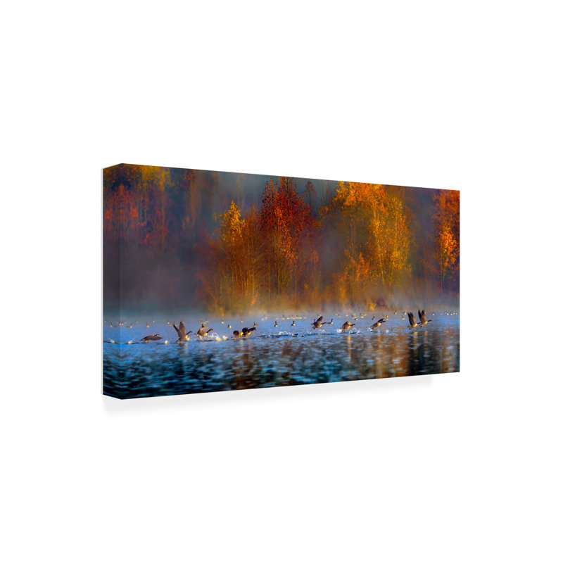 Art sur toile «Hua Zhu Audubons», H 10 po x l 19 po