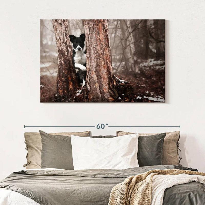 Brampt Playful Border Collie, 32'' H x 48'' W
