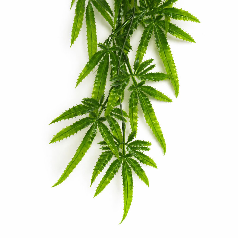 80 cm H Faux Plant, 6