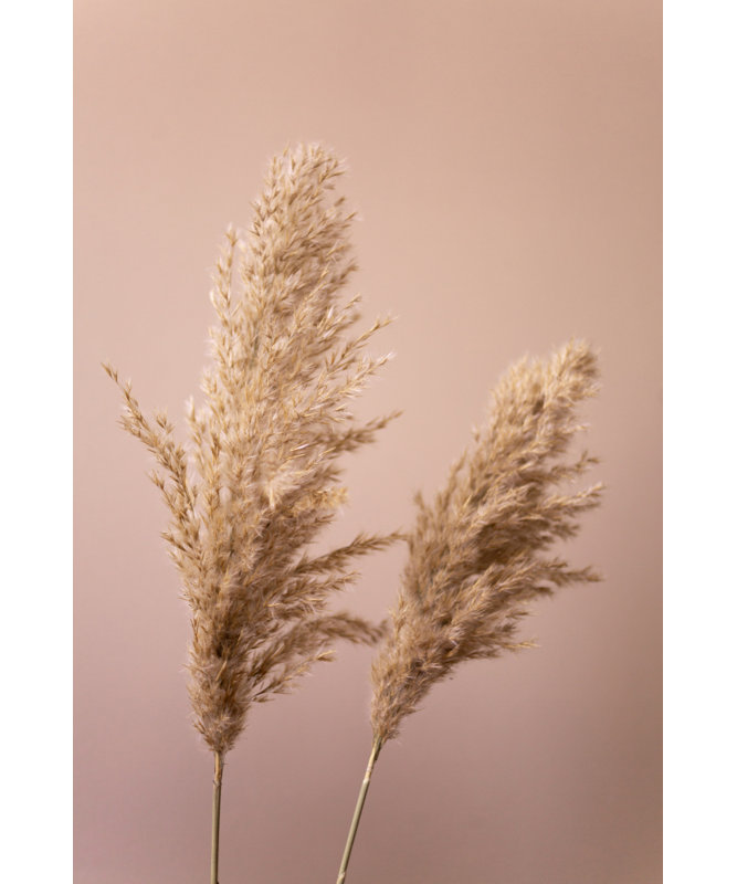 Wrapped Canvas Print, 91.44 cm H x 60.96 cm W