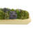Assorted Sedum and Moss Arranged in Wood Planter-774719494