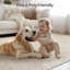 Tapis lavable à rayures rétro antidérapant (beige)-490636257-471381059