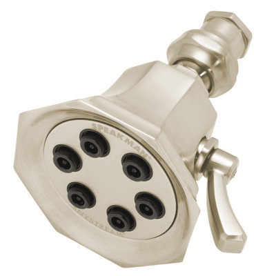 Pomme de douche ajustable Vintage Anystream 2.0 GPM