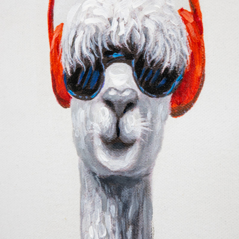 Charming Llama Playing Drums Canvas Wall Art, 20" x 20"