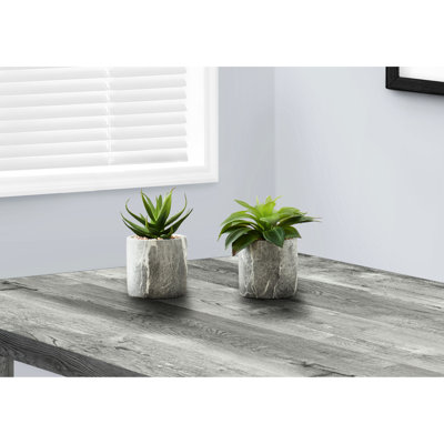 Latitude Run® Of 2 Artificial Indoor Succulents, Faux Leaves In Cement Pots For Decorative Aspect Touch