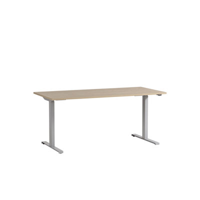 Lourdes Adjustable Metal Base Standing Desk