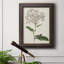 Toile encadrée de qualité supérieure Antique Botanical Collection-1151429479
