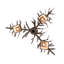 Pine Branch 3 - Light Chandelier