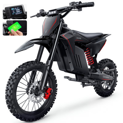 Electric Dirt Bike with 3200W Peak Motor, 48V 20.8Ah Battery and Hydraulic Brakes, Age 13+