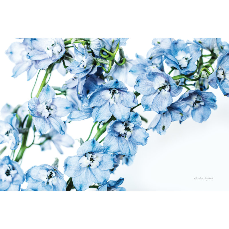 " Freshly Picked Delphinium II ", 12" H x 8" W x 1.25" D