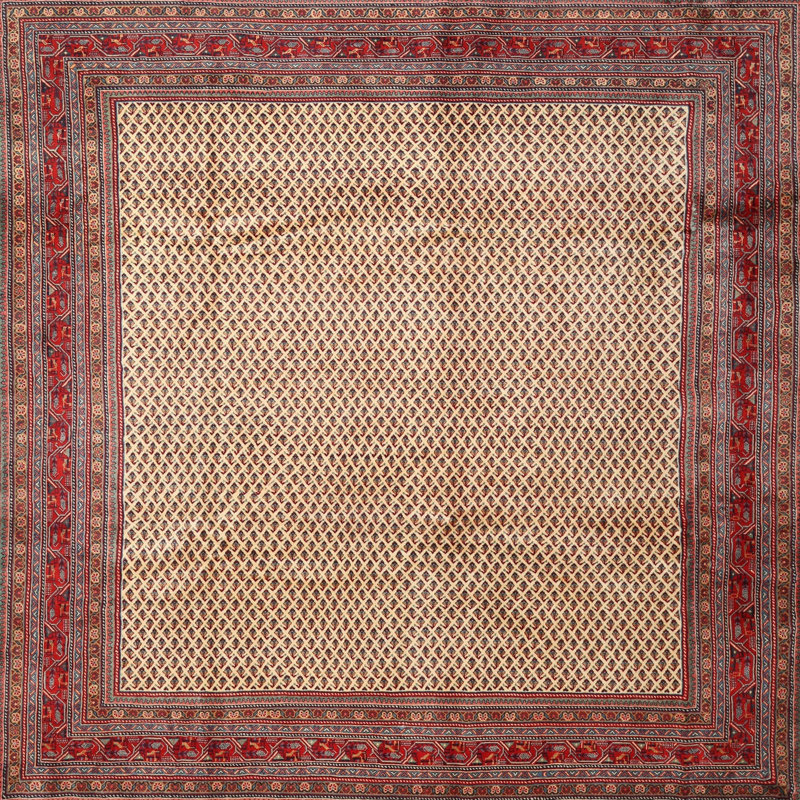 Oriental Indoor Rug, Square 8'